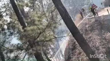 स्याल्दे: अल्मोड़ा के जंगलों में धधकी आग, फायर सर्विस की टीम ने कड़ी मशक्कत के बाद पाया काबू