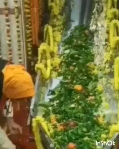 रुद्रपुर: रुद्रपुर में दुर्गेश्वर नाथ मंदिर में देवरिया DM शिव जागरण ने किया डांस, वीडियो हुआ वायरल