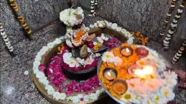 रूपवास: रूपवास कस्बे समेत समूचे उपखण्ड में महाशिवरात्रि का पर्व धूमधाम और श्रद्धा के साथ मनाया गया