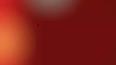 महाशिवरात्रि पर नोहर के श्री कल्याण द्वार पर भगवान शंकर की भव्य प्रतिमा का अनावरण
#नोहर
#महाशिवरात्रि
#श्रीकल्याणद्वार
#...