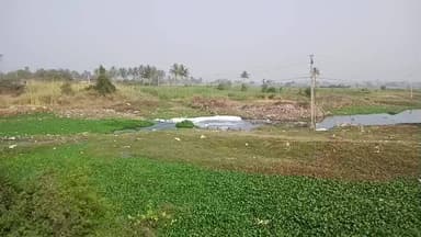 ರಬಕವಿ ಬಳಿಯ ಕೃಷ್ಣಾ ನದಿಗೆ ಚರಂಡಿ ನೀರು: #ನೊರೆ ತುಂಬಿದ ನೀರಿನಿಂದ ರೋಗದ ಭೀತಿ!