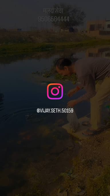 महाशिवरात्रि के पावन पर्व के उपलक्ष्य में पशु पति नाथ महादेव की कृपा से आज अनेकों मछलियों को पुनः नया जीवन प्रदान करा