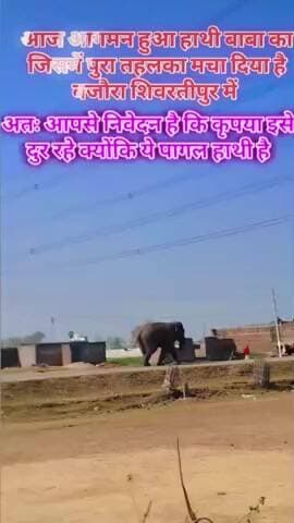 हाथी पहुंच गया मोबाइल नहीं कभी मोबाइल जमा #@