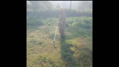 நாட்றாம்பள்ளி: அண்ணாதெரு பகுதியில் வீட்டின் அருகே இருந்த சுமார் 4அடி நீளமுள்ள மரம்ஏரிபாம்பை லாவகமாக பிடித்த தீயணைப்பு துறையினர்