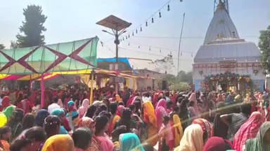 मनीगाछी: मनिगाछी प्रखंड के गांवों में महाशिवरात्रि पर शिवालयों में उमड़ी आस्था की भीड़, देर रात तक हुआ जलाभिषेक