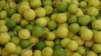 திருப்புவனம்: சிவராத்திரியை முன்னிட்டு எலுமிச்சை மற்றும் பூஜைப் பொருட்களின் விலை இருமடங்காக உயர்வு