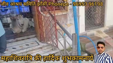 जीवाश्रय समिति झाँसी की तरफ से आप सभी को महाशिवरात्रि की हार्दिक शुभकामनाएं, #animal #dogs #महाशिवरात्रि