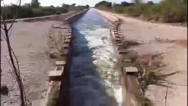 बज्जू: बज्जु के बरसलपुर ब्रांच में छोड़ा गया सिंचाई पानी, दो दिन तक चलेगा, किसानों को मिलेगी राहत