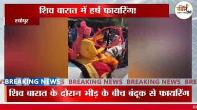 शिव बारात में हर्ष फायरिंग, घोड़े पर सवार श्योपुर विधायक बाबू जंडेल का वीडियो वायरल | ChambalTV
#BabuJandel #MLA #MLAS...