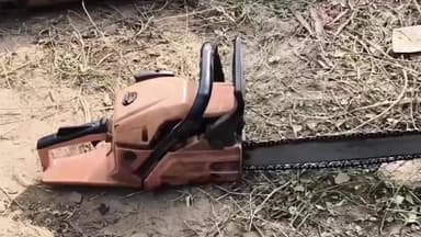 కొవ్వూరు: జంగిల్ క్లీనింగ్ మాటున కలప తరలింపు.