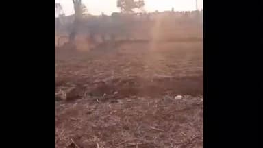 खालवा: बोरखेड़ा में छकड़ा रेस के दौरान हादसा, किसान और बैलों की जान बची