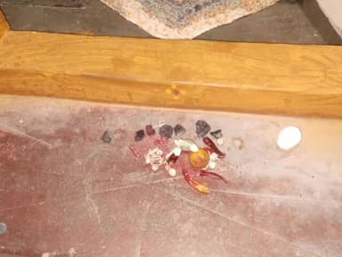 ಜಗಳೂರು: ಚಿಕ್ಕಮಲ್ಲನಹೊಳೆ ಗ್ರಾಮದಲ್ಲಿ ಮನೆ ಬಾಗಿನಲ್ಲಿ ವಾಮಾಚಾರ: ಆತಂಕ