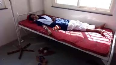 निवास: जिले के निवास स्थित शासकीय हाई स्कूल बिसौरा में मधुमक्खियों का हमला, छात्राएं और 4 शिक्षक घायल