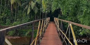 गुहागर: वेळणेश्वर येथील इसमाची दारूच्या नशेत गळफास घेऊन आत्महत्या