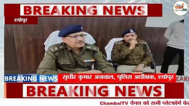 विजयपुर चोरी कांड का खुलासा: 7 आरोपी गिरफ्तार, 7 लाख के जेवरात बरामद | ChambalTV
#श्योपुर #sheopur #चंबलटीवी #Jansamp...
