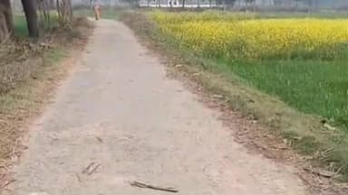 कप्तानगंज: खोखियां नहर से बनकटा मार्ग जर्जर, गड्ढों में तब्दील सड़क से राहगीर परेशान