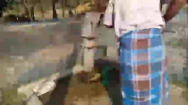 মথুরাপুর ২: অত্যাধিক স্যালো বসার কারণেগ্রীষ্মের শুরুতে পানীয় জলের সংকট জটা বরাদনগর মুসলিম পাড়া এলাকায়