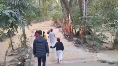 মাল: হাতির করিডোরে সতর্কতা: লাটাগুড়ির মহাকাল ধাম মন্দির–এ বনদপ্তরের বিশেষ