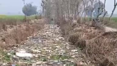 हाटा: पिडरा-बरईपुर में नहर की अव्यवस्था से जलभराव, किसानों की फसलें बर्बादी की कगार पर