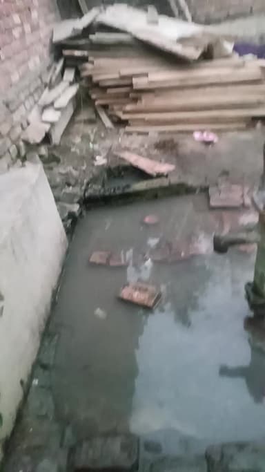 social media sursand video