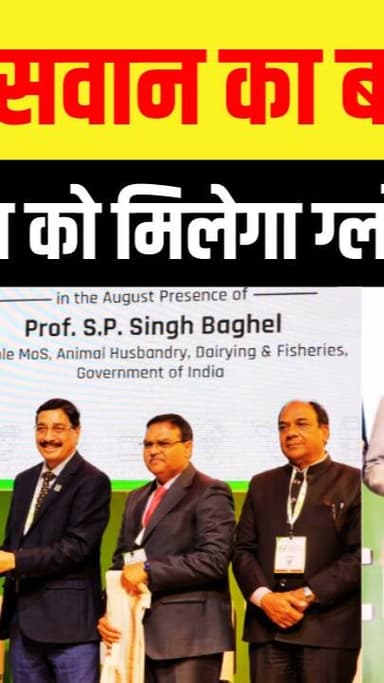 ग्रामीण भारत में डेयरी उद्यमिता को बढ़ावा देना, किसानों को सशक्त बनाना!
#DairyIndia, #52ndDairyConference, #WorldDairyS...