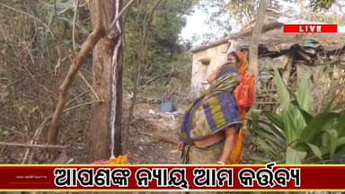 ମହାଶିବରାତ୍ରିରେ ଅଲୌକିକ ଘଟଣା! ନିମ୍ବ ଗଛରୁ ବାହାରୁଛି ‘ଖିର’ #virelphoto #bhogorai #odia #chandaneswar #bhusundeswae #sivaratri...