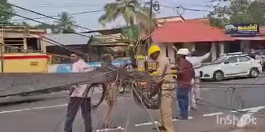 അടൂര്: എം സി റോഡിൽ കുളനട ഇടയാടിയിൽ വാഹനാപകടം