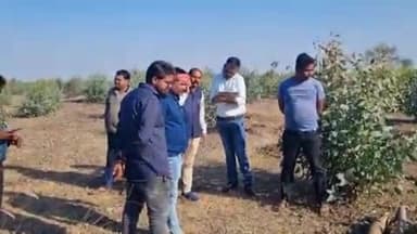 सिमगा: सीतापार की नर्सरी से अवैध रूप से सागौन लकड़ी की कटाई से ग्रामीणों में आक्रोश