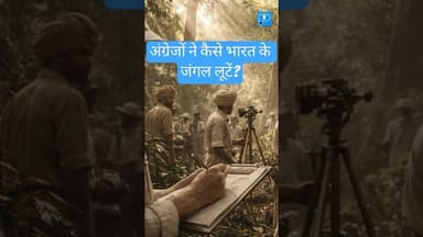 India ke jungle kaise loote gaye? #uttarakhand #facts #forest #environment #mountains