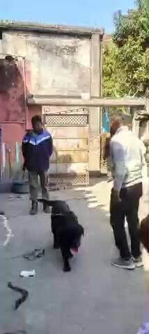 केरेडारी: केरेडारी पुलिस ने अभियुक्त के घर पर इस्तेहार चिपकाया