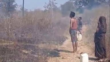 बेगमगंज: बेगमगंज में डीपी ब्लास्ट से गेहूं की फसल में लगी आग, बड़ा हादसा टला