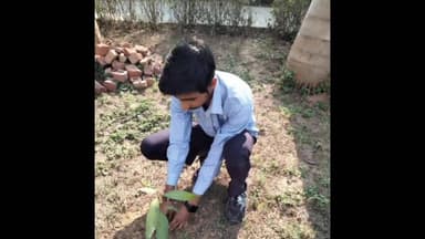 ইলামবাজার: ইলামবাজার government ITI -তে বৃক্ষরোপণ কর্মসূচি