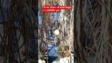 श्री काशी विश्वेश्वर 12ज्योतिर्लिंग पूजा #टीव्ही9मराठी #marathinews #gaurisarri #news #breakingnews