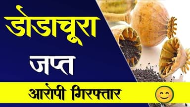 अवैध डोडाचूरा जप्त | आरोपी गिरफ्तार | avidh dodachura japt | aaropi girftaar #pratapgadh_news #mpcg