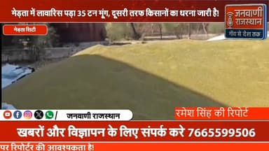 मेड़ता में लावारिस पड़ा 35 टन मूंग,दूसरी तरफ किसानों का धरना जारी #nagour #riyabadi #BreakingNews #RajasthanNews #mertac...