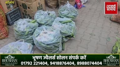 17 फरवरी 2026 को हिमाचल की सोलन सब्जी मंडी में भाव
हिमाचल समय - Himachal Samay Media #heavysnowfall #vikrmadityesingh #s...