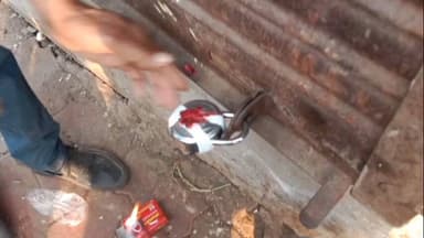 તારાપુર: તારાપુર નગરપાલિકાની પાછળના તળાવ કિનારે ચાલતી 18 ગેરકાયદેસર માંસની દુકાનો સીલ કરાઈ