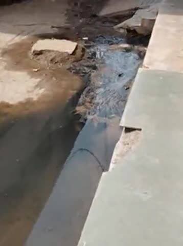 hmri gali mai naliyo ke nirman na hone ke karan kitni hi bimariyao and niklne mai kafi jada pareshani arhi hai nirkan...