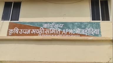 मोहन बड़ोदिया: अमावस्या के कारण कृषि उपज मंडी मोहन बड़ोदिया में मंगलवार को नीलामी कार्य रहेगा बंद