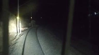 ओबरा: झारखंड में मालगाड़ी की चपेट में आया हाथी का बच्चा, जंगली हाथियों का झुंड घटनास्थल पर जमा, हादसे का असर सोनभद्र तक