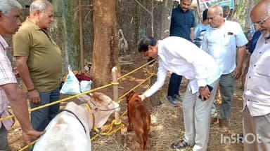 ಶಿರಸಿ: ತೋಟಗಾರಿಕೆ ಇಲಾಖೆಯ ಆವರಣದಲ್ಲಿ ಹಾಲು ಕರೆಯುವ ಸ್ಪರ್ಧೆ ಗೆ ಶಾಸಕ ಭೀಮಣ್ಣ ನಾಯ್ಕ ಚಾಲನೆ
