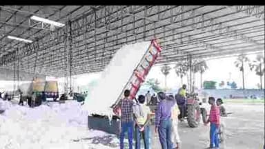 కాటారం: ఈనెల 21 నుంచి పత్తి కొనుగోలు బంద్ : జిల్లా మార్కెటింగ్ శాఖ అధికారి ప్రవీణ్ రెడ్డి వెల్లడి