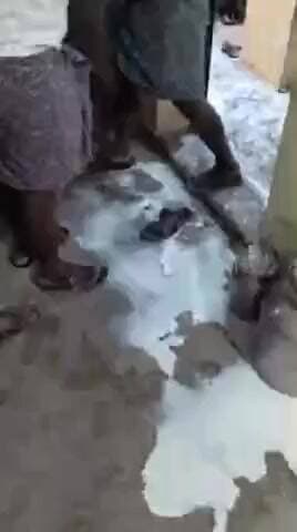 ಮಾನ್ವಿ: ಅಮರೇಶ್ವರ ಕ್ಯಾಂಪ್ ಹಾಲು ಉತ್ಪಾದಕರ ಸಂಘದ ಕಚೇರಿಯಲ್ಲಿ ಹಲ್ಲೆ ವಿಡಿಯೋ