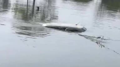 नैनवां: तालाब में डूबी कार से रेण गांव के दो युवकों के शव मिले, 39 दिन से थे लापता