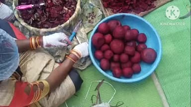 पोड़ी उपरोड़ा: पोड़ी-उपरोड़ा में महिलाओं ने तैयार किया हर्बल गुलाल, चुकंदर, पालक और हल्दी से बने रंगों की बाजार में बढ़ी मांग