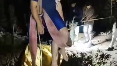 ખાંભા: ખાંભાના ઉમરીયા ગામે ખેડૂતની વાડીના કુવામાં 2 બળદ સાથે બળદ ગાડું કૂવામાં ખાબક્યું...