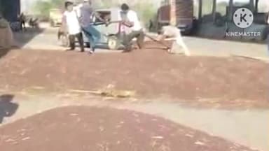 खानपुर: खानपुर कस्बे में स्थित कृषि उपज मंडी में 975 किवंटल सरसों की हुई बंपर आवक, भाव रहा ₹6690 प्रति किवंटल