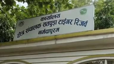 पिपरिया: सतपुड़ा टाइगर रिजर्व में सांभर का शिकार, शिकारी 5 दिन बाद भी खाली हाथ; चार बैगन की टेरिटरी से धड़ ले गए