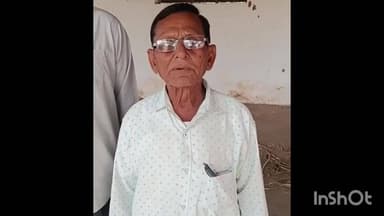 ઊંઝા: ઊંઝા પાંજરાપોળમાં લીલો ઘાસચારો ખાતા સાત પશુઓના મોત,બે ગાયને બચાવાઇ