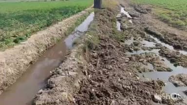 घिरोर: घिरोर कर्षि की जमीन में नाली का दूषित पानी आने से किसान की फसल हो रही बर्बाद, पीड़ित ने जिलाधिकारी से लगाई गुहार